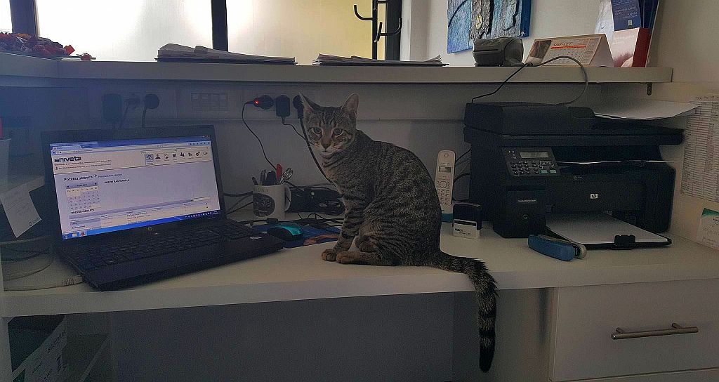 Veterinarska ambulanta Bošnjak i Mioč